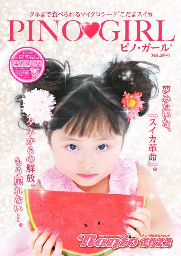 白砡　仏手柑　根付　20g タカト　東さ7-0522⭐︎1F 大地農園・アンバーナッツ・オフホワイト(40220-011