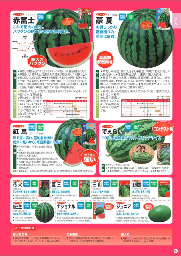 NANTO Vegetable Seed Catalog 2022
