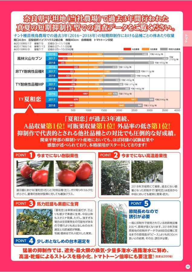 NANTO Vegetable Seed Catalog 2022