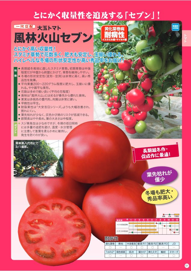 とまとです トマト品種 | 有限会社ベストクロップ