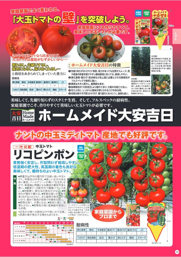 とまとです トマト品種 | 有限会社ベストクロップ
