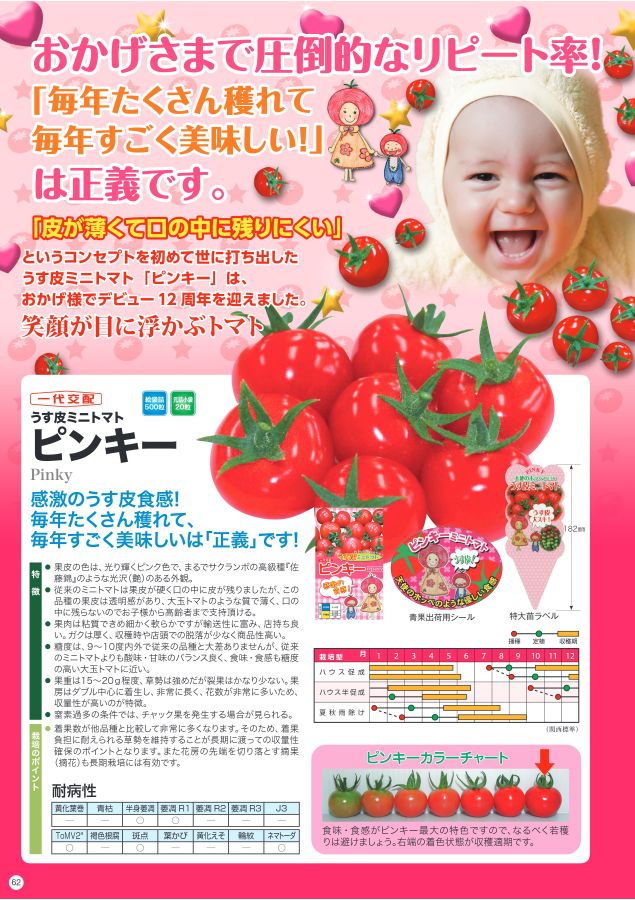NANTO Vegetable Seed Catalog 2022