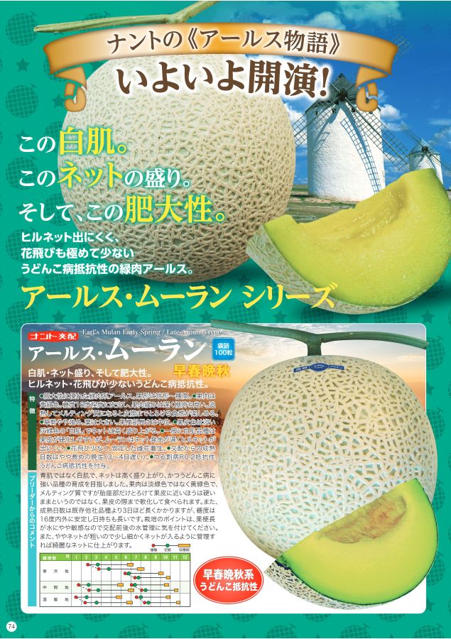 メロンページです。 楽天市場】クインシー719 100粒 めろん メロン 舐瓜 ウエキ交配