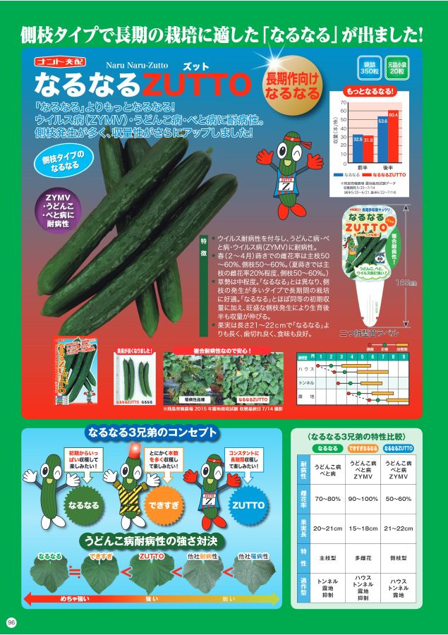 NANTO Vegetable Seed Catalog 2022
