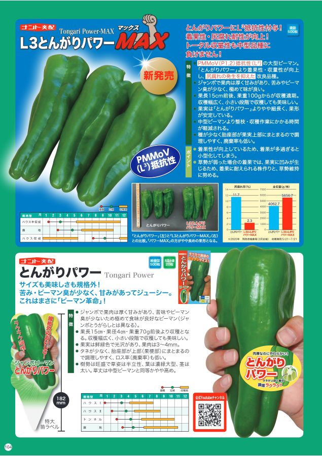 ピーマン 種 【 L3とんがりパワーMAX 】 小袋(500粒) ( ピーマンの種 ) | 農業屋.com