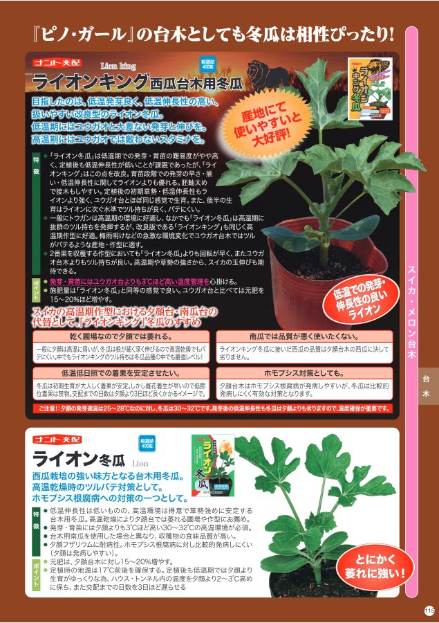 スイカ台木専用 ゆうがおの種400粒