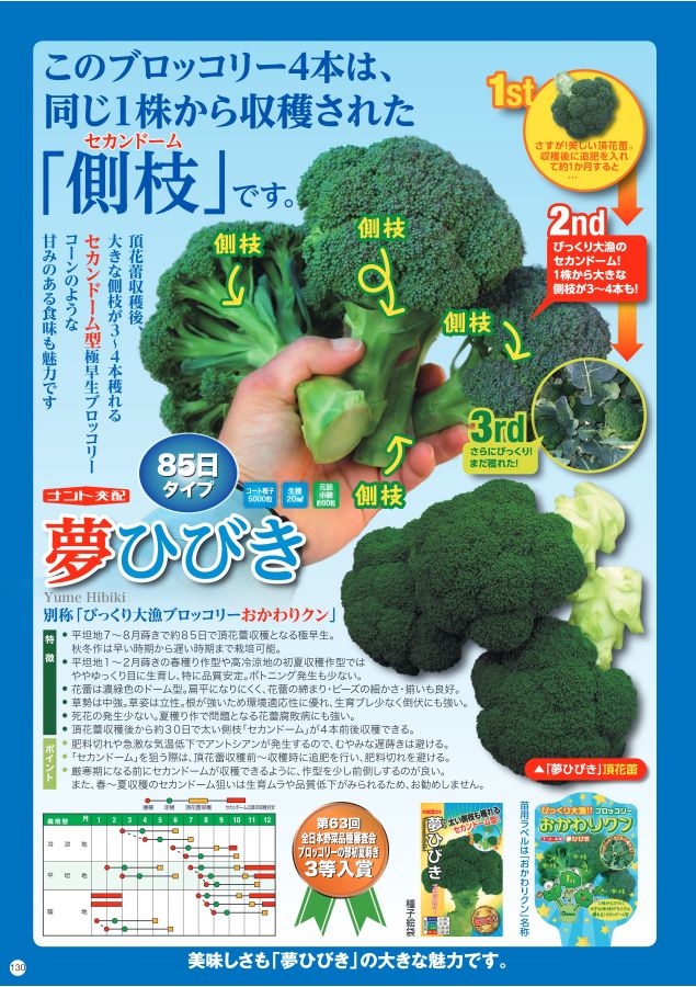 NANTO Vegetable Seed Catalog 2022 NANTO Vegetable Seed Catalog 2022