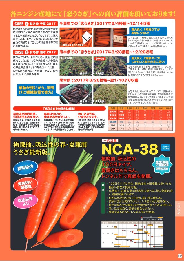 115円 新素材新作 ニンジン 種子 甘美人 コート種子 250粒 人参