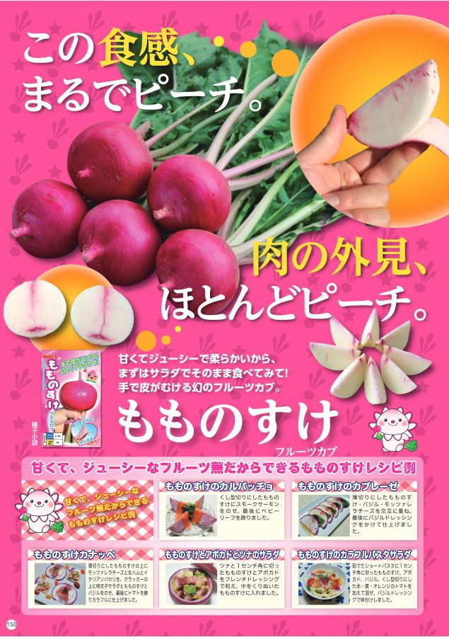 賜物 野菜の種 種子 もものすけ サラダカブ 20ml メール便発送 大袋 ナント種苗